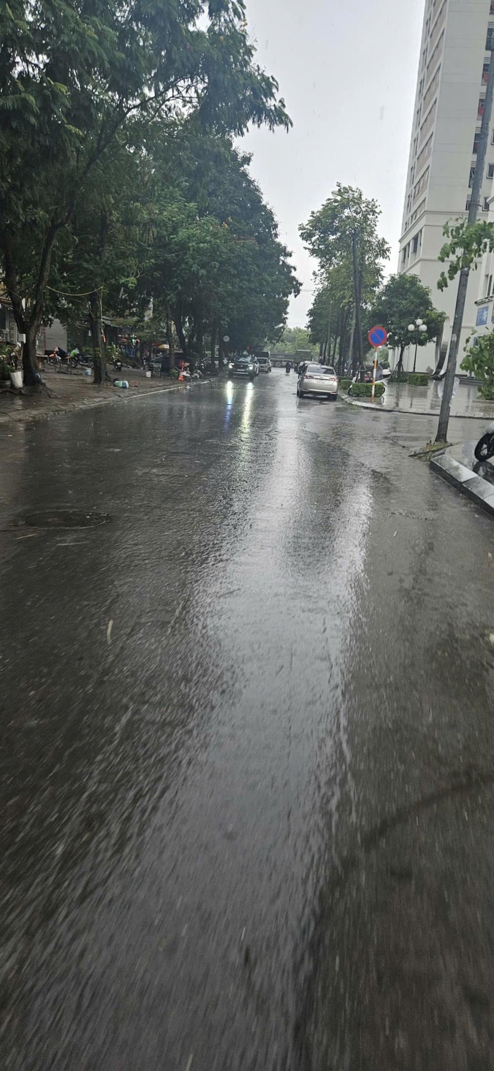Đất Đông Hội Vàng - 56m2 Full Thổ Cư, Sát Vin, Tương Lai Rực Rỡ