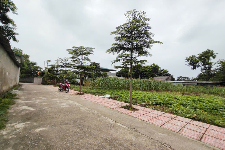 Chính Chủ Gửi Bán 144 m 50 thổ cư  chỉ 1, x tỷ 
Nhuận Trạch Lương Sơn -HB (PHÚ THỌ MỚI)