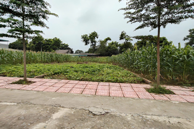 Chính Chủ Gửi Bán 144 m 50 thổ cư  chỉ 1, x tỷ 
Nhuận Trạch Lương Sơn -HB (PHÚ THỌ MỚI)