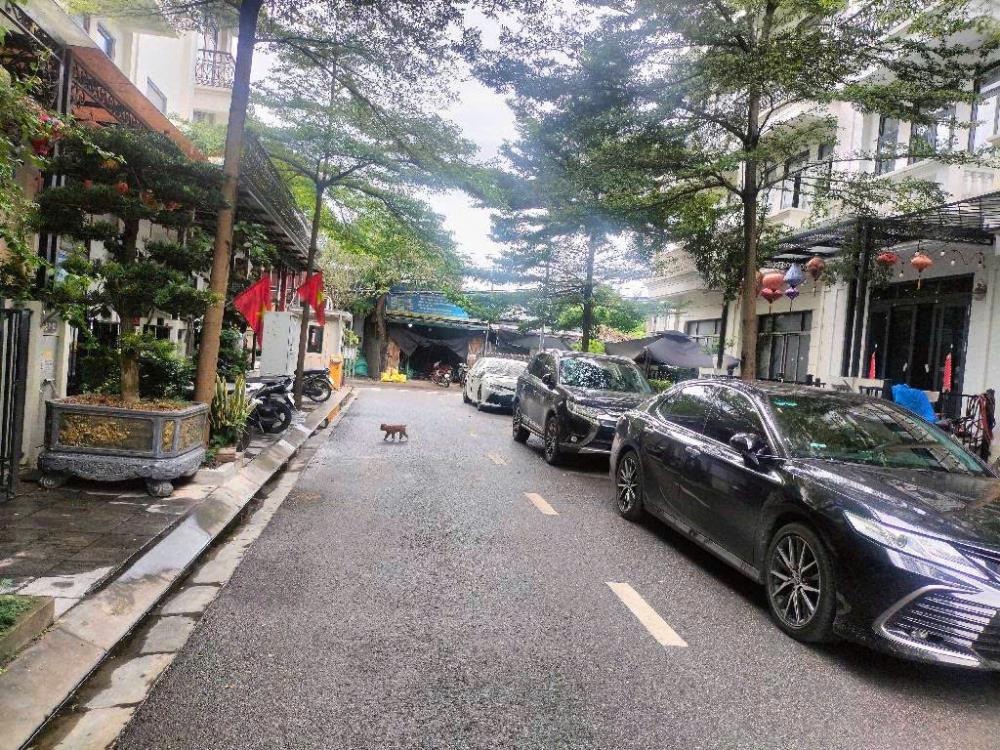 Bán Đất Phân Lô Tư Hoàng, Nam Từ Liêm - View Vườn Hoa, Tiềm Năng Đầu Tư