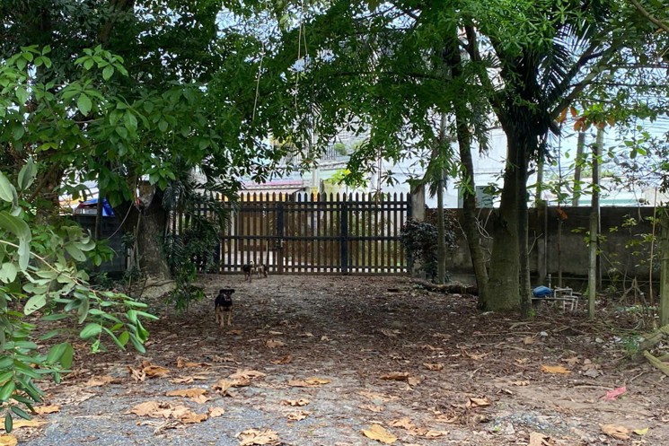 Bán lô đất tại Đức Hòa, Long An 53 × 95m ( 35 tỷ )