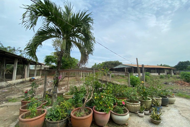 Bán lô đất tại Đức Hòa, Long An 53 × 95m ( 35 tỷ )