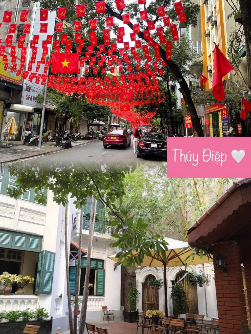 Mặt Phố Cát Linh - Đống Đa - 483m² - Giá 230 Tỷ - Kinh Doanh Đỉnh Cao