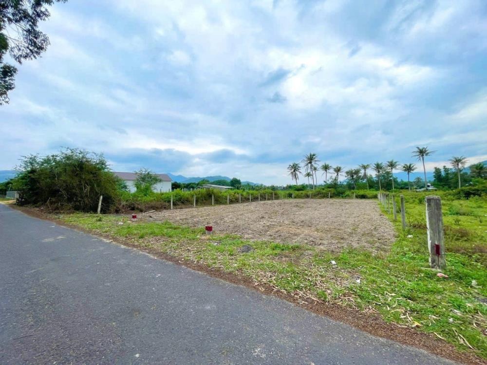 Bán Đất Nền Diên Khánh, Khánh Hòa - Vị Trí Đắc Địa, Pháp Lý Sổ Hồng