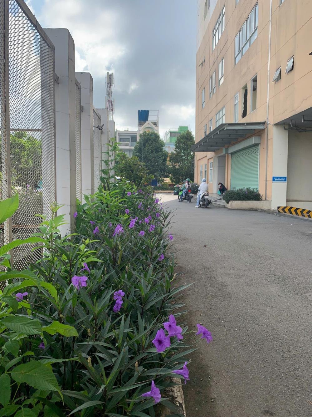 Thanh lý căn hộ HQC Hóc Môn: 50-70m2, Giá từ 1.05 tỷ - Full Sổ