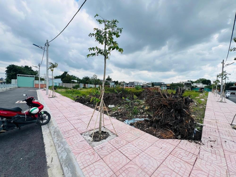 Bán Đất Nền Thạnh Xuân Quận 12: Cơ Hội Đầu Tư Vàng - Giá Từ 4.35 Tỷ