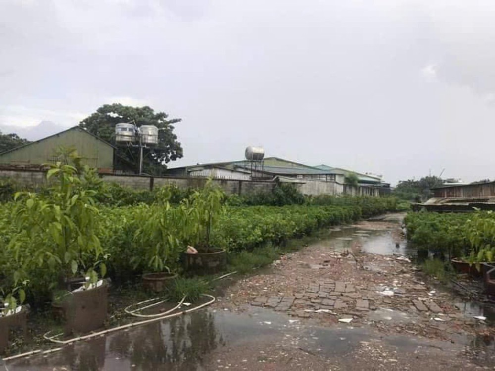 0.9Ha Đất đầu tư GD View sông – Phan Huy Ích Gò Vấp S
