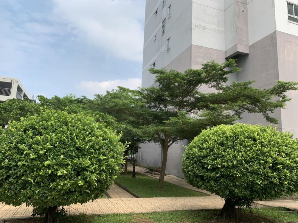 Căn Góc 60m2 HQC Plaza An Phú Tây, Bình Chánh - Giá 1.150 Tỷ