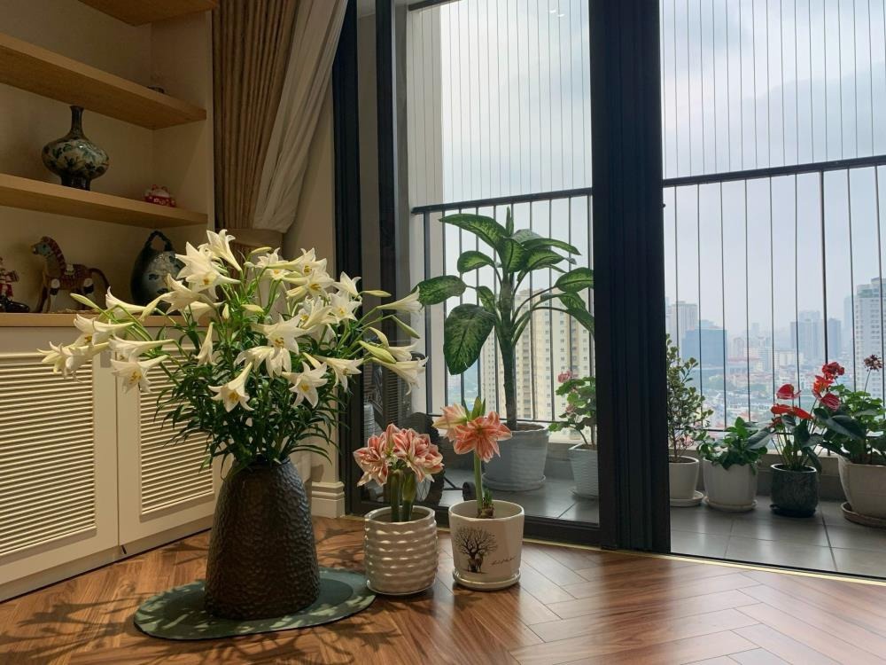 Bán căn hộ Vinhomes D’Capitale 3PN - C6 - 110m2 - Nội thất cao cấp, View đẹp