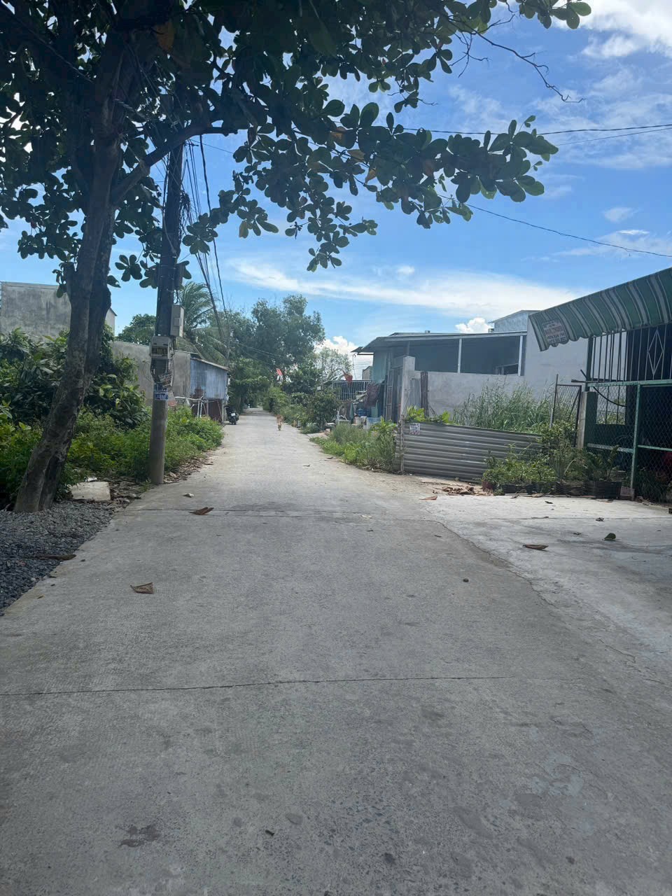 Bán Nền Thổ Cư Đường An Hạ, Bình Chánh - 9 Tỷ/4 Nền (100m2)
