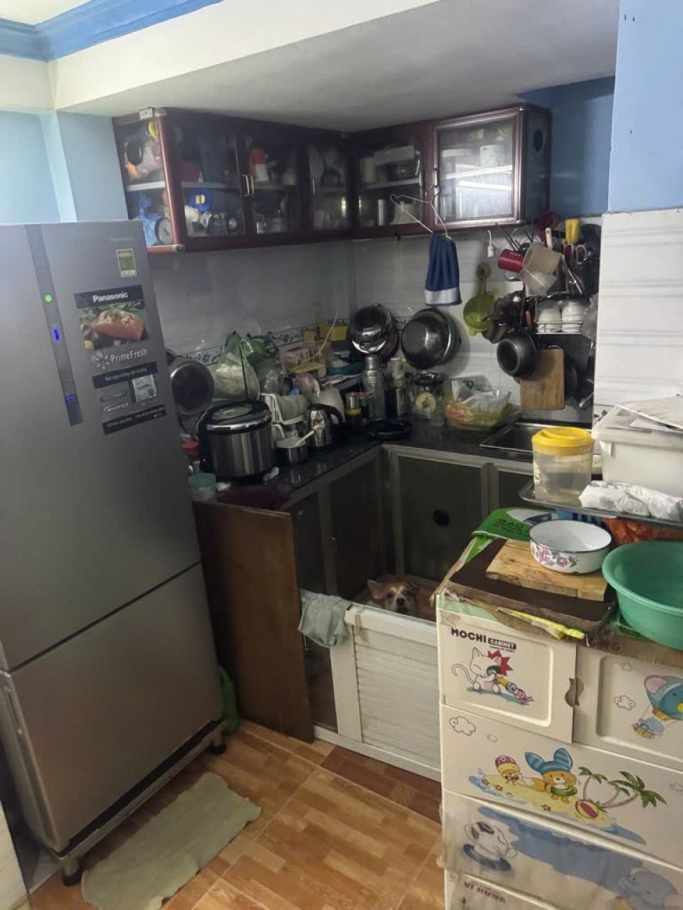 🏠 Nhà Nở Hậu Gò Vấp - Giảm 200tr - SHR - 2 Tầng - 60m2