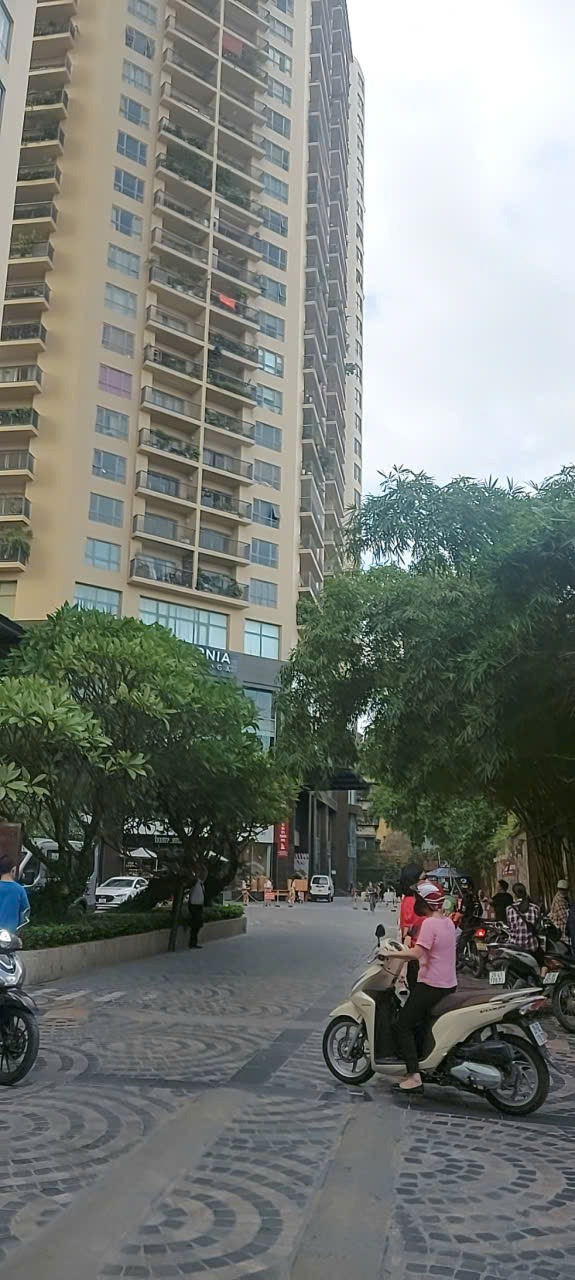 Căn Nhà Phố Trần Quý Kiên, Cầu Giấy - Vị Trí Vàng Kinh Doanh, Ô Tô Đỗ Cửa