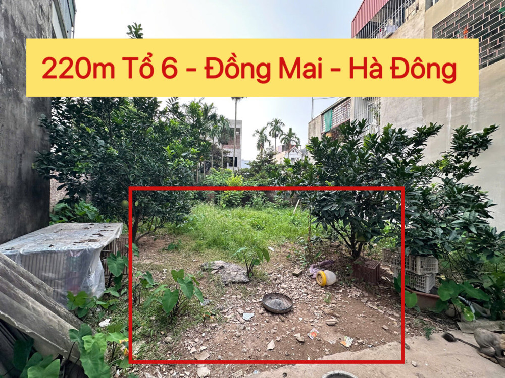 SIÊU PHẨM 220M TẠI ĐỒNG MAI-HÀ ĐÔNG-HÀ NỘI