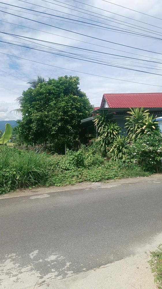 Bán Đât Ở tại Xã Diên Lạc, Khánh Hoà