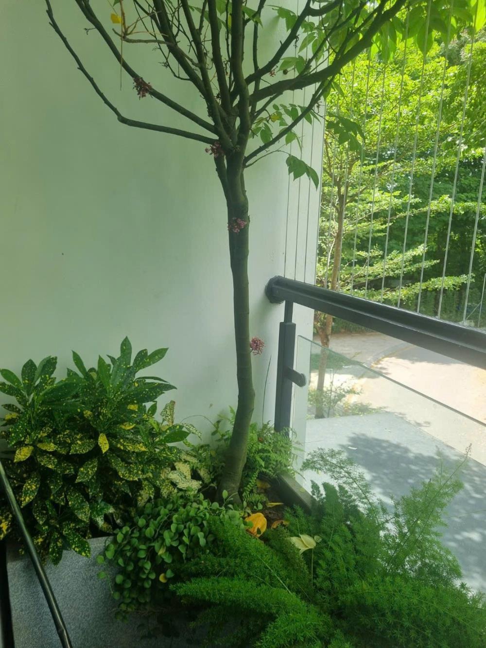 Bán Biệt Thự Liền Kề Hoàng Quốc Việt Kéo Dài - 80m2, 6 Tầng, 26.9 Tỷ