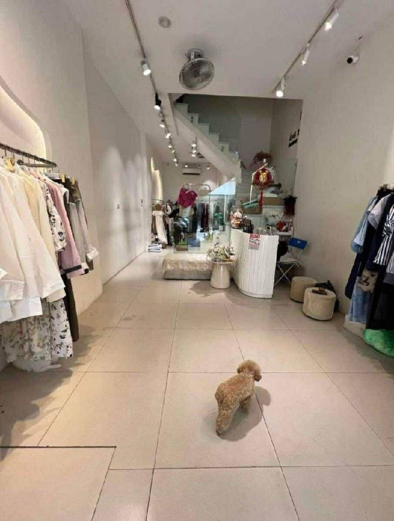 Nhà Mặt Phố Nguyễn Hy Quang - Đống Đa: Vị Trí Vip, Sinh Lời & Giữ Giá Trị