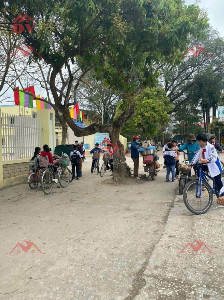 SIÊU PHẨM 56M LÔ GÓC TẠI THỤY HƯƠNG-CHƯƠNG MỸ-HÀ NỘI