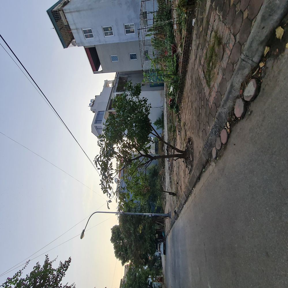 Đất xã Gia Lâm, Hà Nội. 65m2 7 chỗ thông giá đầu tư. Lh 0989894845