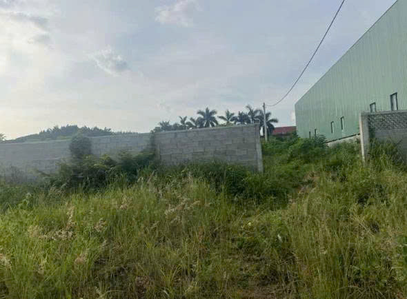 Chính Chủ Cần bán 02 lô đất liền kề, tổng diện tích 900m2, tại Suối Đá, P. Tân Xuân, TP. Đồng Xoài,