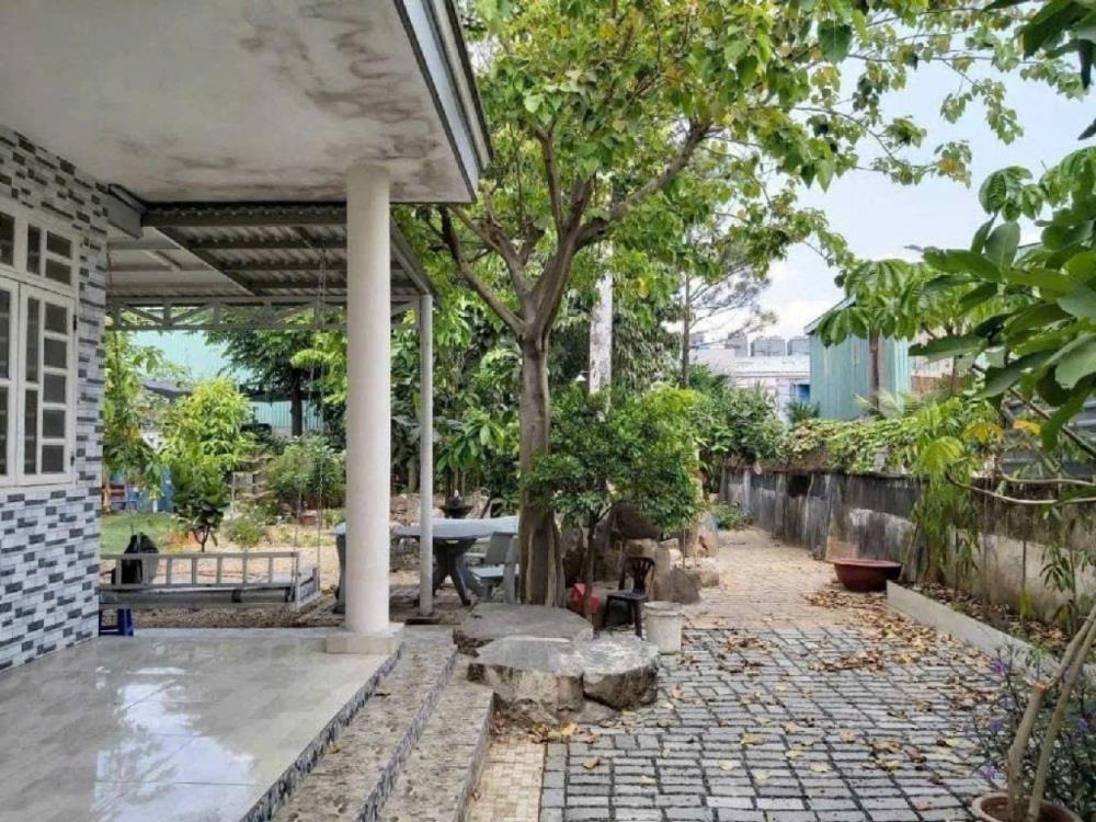 Bán Đất Tặng Nhà 703m2, SHR Vuông Vị Trí Đắc Địa Hà Huy Giáp, Quận 12 - Giá Sốc!