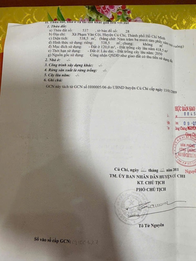 Chính chủ bán đất tặng nhà cấp 4 tại131 Bùi Thị Điệt, Xã Phạm Văn Cội, Huyện Củ Chi– Giá cực tốt