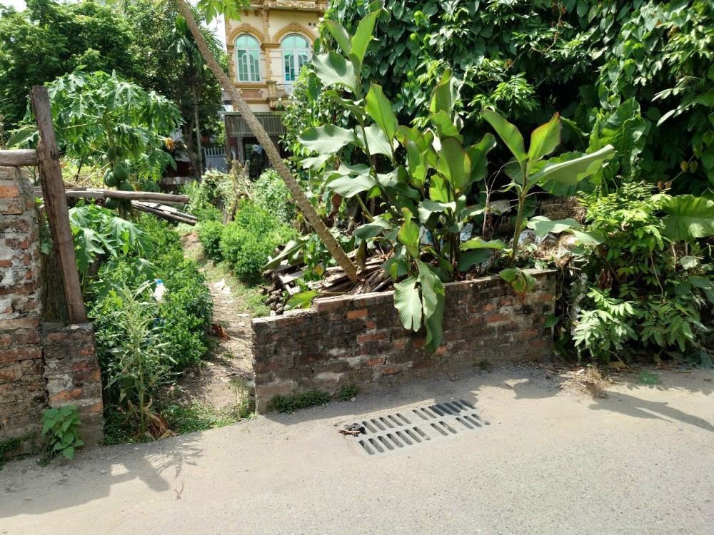 Bán Đất Thôn Bắc Kim Nỗ - 52m² Ngõ Ô Tô - Giá Đầu Tư