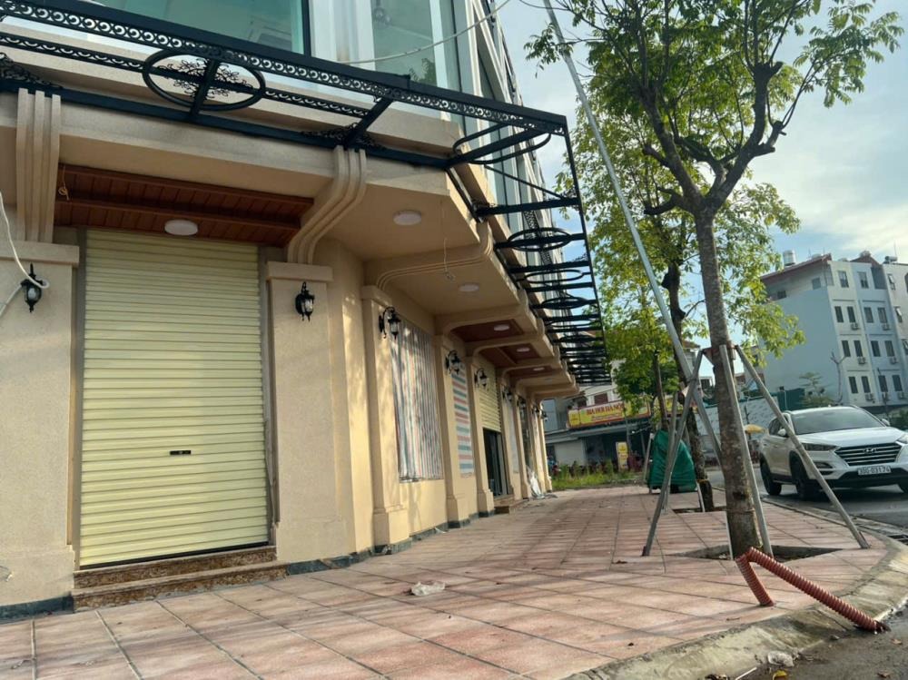 Cho Thuê Nhà Khu Tái Định Cư Ngọc Thụy, Long Biên - 110m2, 3 Tầng - Giá 50tr/th