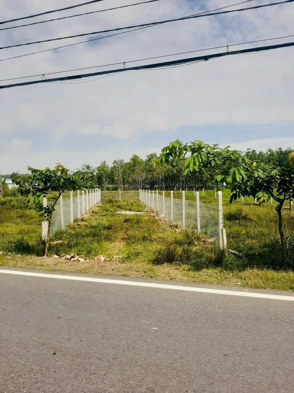 Đất Nền Bà Thiên, Nhuận Đức - Đầu Tư Sinh Lời, Xây Nhà An Cư