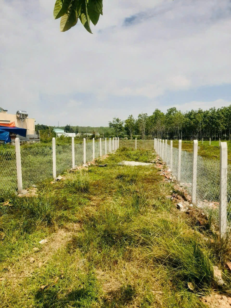 Đất Nền Bà Thiên, Nhuận Đức - Đầu Tư Sinh Lời, Xây Nhà An Cư