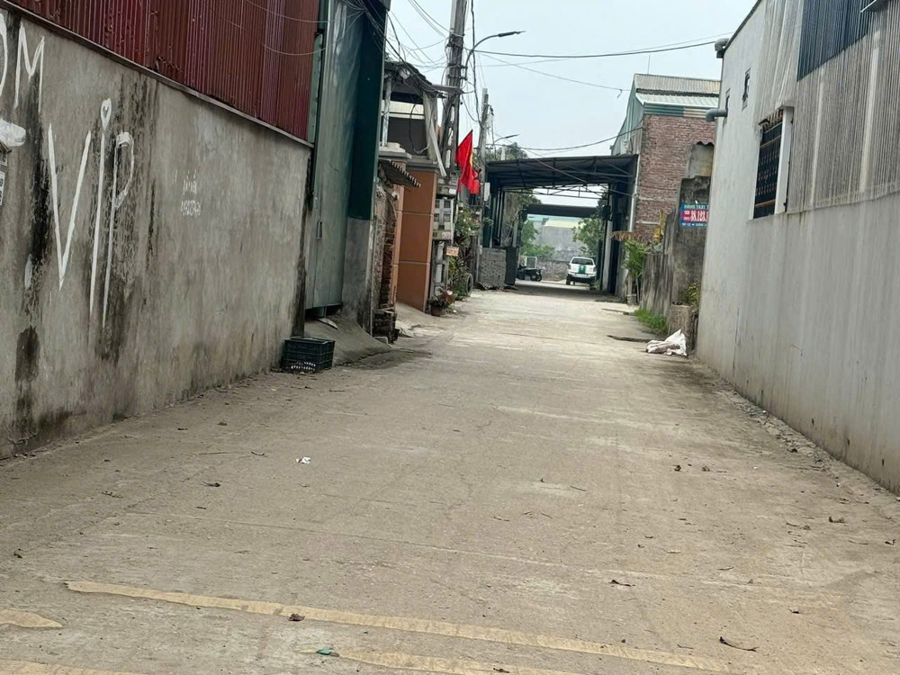 ✅ Bán 84m đất đấu giá Bến Trung, Bắc Hồng - Cạnh đường QH 40m