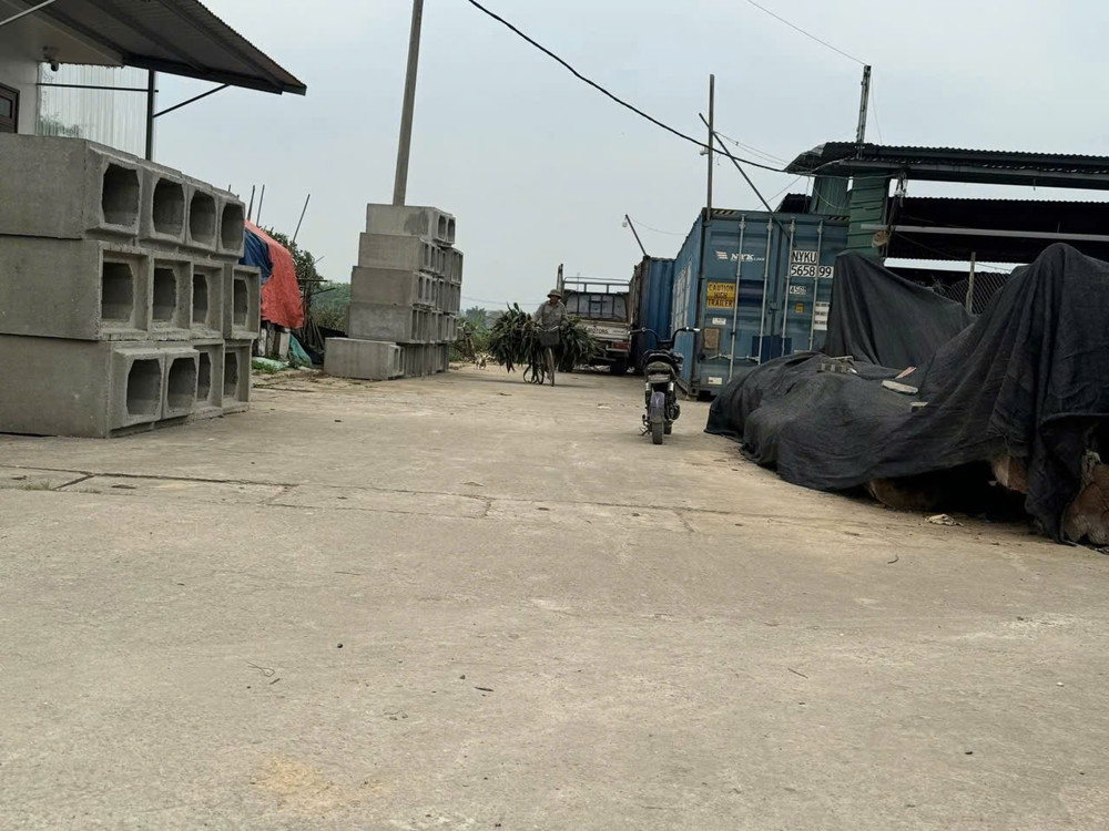 ✅ Bán 84m đất đấu giá Bến Trung, Bắc Hồng - Cạnh đường QH 40m