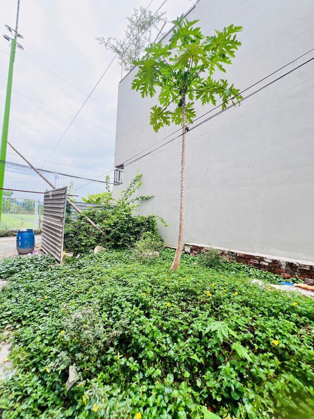 Đất Linh Đông Giá Tốt - 5.2 Tỷ - Vị Trí Đẹp, Tiềm Năng