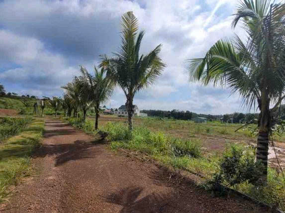 BÁN ĐẤT CÓ AO CÁ – 9055m² – MẶT TIỀN 18m – SUỐI CAM, ĐỒNG XOÀI – ĐỒNG NAI-  GIÁ 20 TỶ