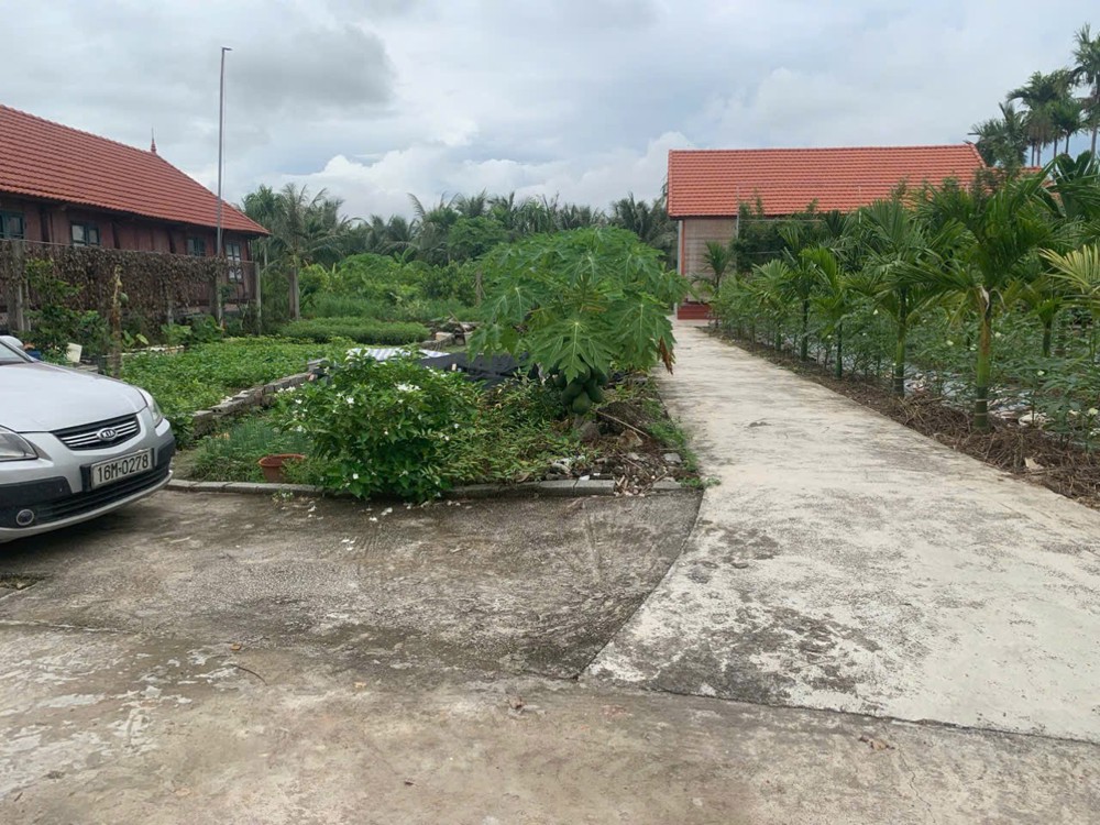 1.7x tỷ 98.7m2 lô góc Hòa Nghĩa Dương Kinh Zalo 0567222555