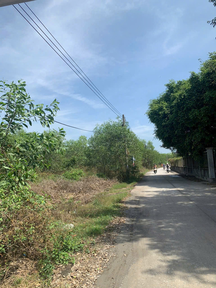 CHÍNH CHỦ Bán Nhanh Lô Đất Trồng Cây Lâu Năm Tại Thường Tân,  Bắc Tân Uyên, Bình Dương
