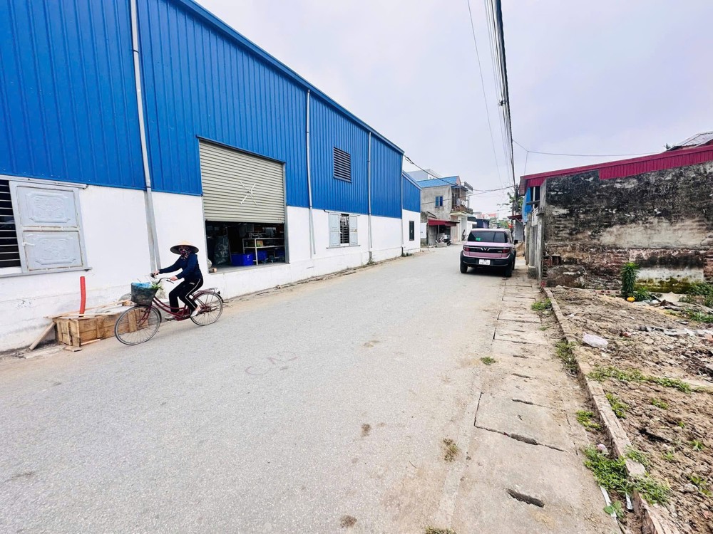 2 tỷ 316m2 Ngũ Đoan Kiến Thụy Zalo 0567222555