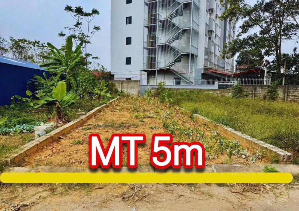 Bán Đất Vàng CNC Hòa Lạc - Đầu Tư Sinh Lợi Khu Trọ Sinh Viên