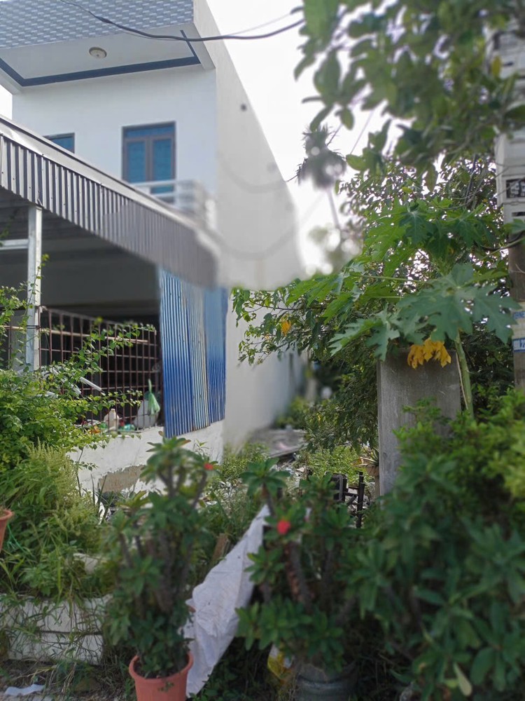 25,5 tr/m2 – 110m2 Tân Lập Dương Kinh Zalo 0567222555