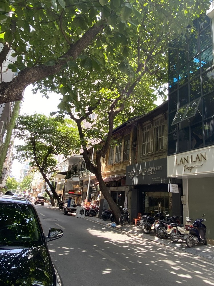 Mặt phố VIP Mai Hắc Đế HBT 55m² 2 tầng MT3.5m giá 37 tỷ đầu tư vàng