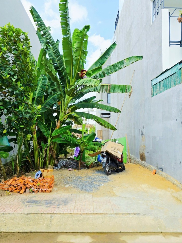 Bán đất thổ cư Đường Long Thuận, Phường Long Phước, TP HCM, DT 59m2, 4 x14.7m, SHR, 3.35 tỷ