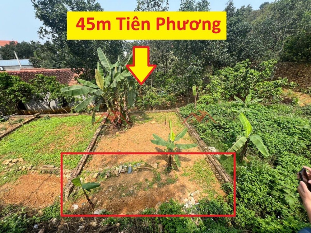 SIÊU HÓT 45M TẠI TIÊN PHƯƠNG-PHƯỜNG CHƯƠNG MỸ-HÀ NỘI