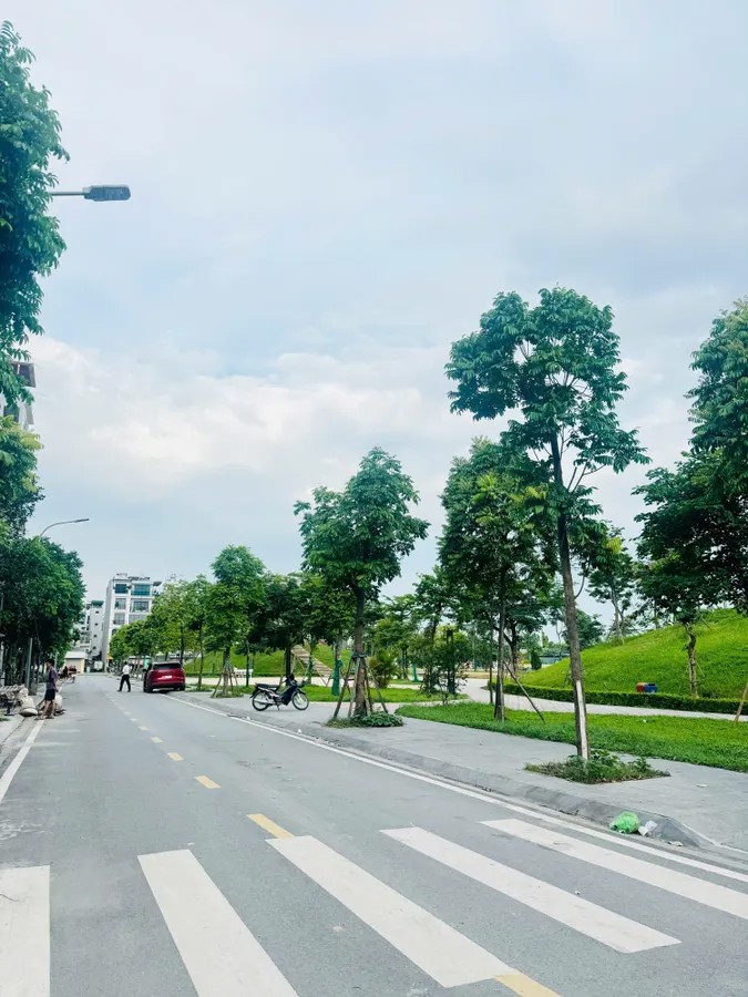 BÁN ĐÂT PHÂN LÔ Phố Ngọc Thụy 80m2 Mặt tiền 4.5m, 23.2 Tỷ Long Biên Hà Nội