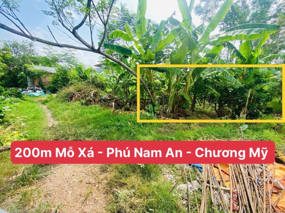 SIÊU HÓT LÔ ĐẤT ĐẸP VÀ LẠI RẺ NHẤT 200M TẠI PHÚ NAM AN-CHƯƠNG MỸ-HÀ NỘI