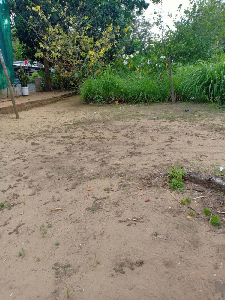 HOT HOT - CẦN BÁN LÔ ĐẤT TẠI  Mỹ Long Nam, huyện Cầu ngang tỉnh Trà Vinh