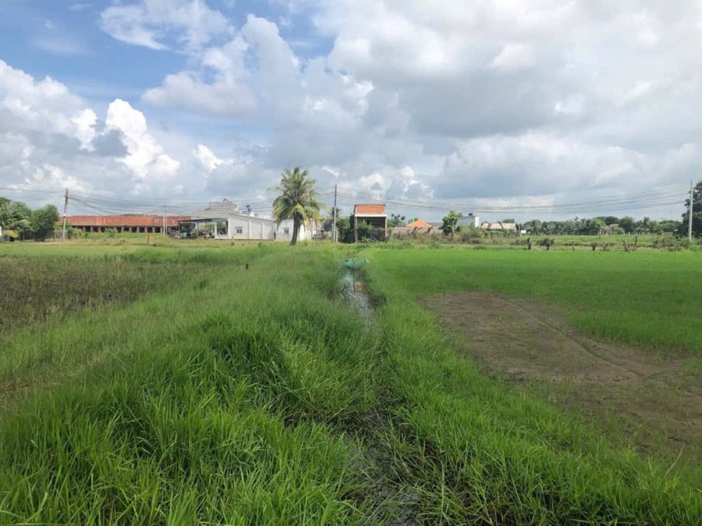 1Ha Đất Vuông SHR HXH – Đức Hoà Thượng Long An S