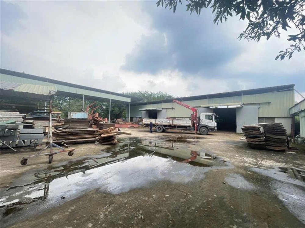 Đất Mặt tiền SHR 4737m2, Nở hậu – Thuận Đức Củ Chi S
