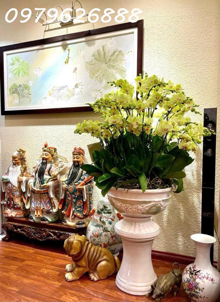 CƠ HỘI VÀNG – NHÀ PHỐ TRUNG LIỆT – CỰC HIẾM - Ô TÔ ĐỖ CỬA – KINH DOANH ĐỈNH CAO - 53x5T