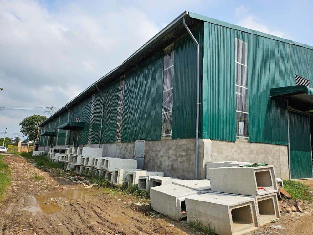 Cho Thuê Kho Xưởng Đông Anh, Hà Nội - Diện Tích Lớn, Giá Tốt