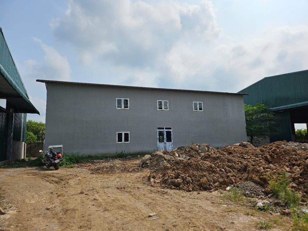 Cho Thuê Kho Xưởng Đông Anh, Hà Nội - Diện Tích Lớn, Giá Tốt