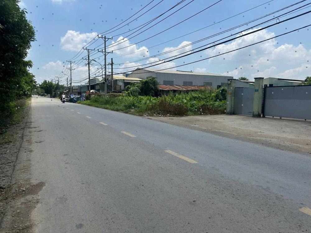 Bán Đất Mặt Tiền Đường Thanh Niên, Bình Chánh - 600m2, Giá 7.3 Tỷ